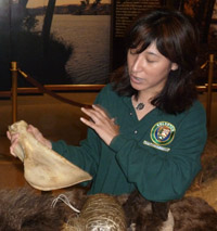 Volunteer using touch table in Museum of Westward Expansion
