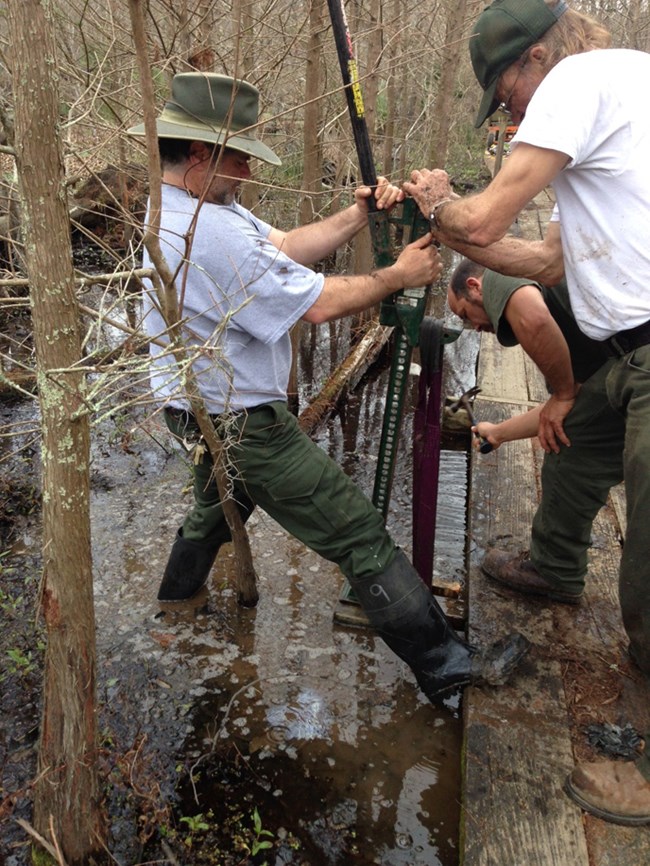 Image of men repairing trail in swamp