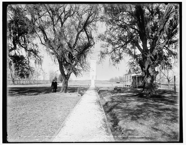 Image of early 1900s photo showing long path between trees leading to Chalmette Monument