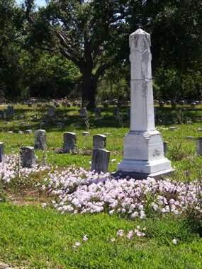 Headstones and wildflowers at Chalmette National Cemetery