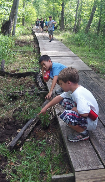 Image of boys squatting on a boardwalk and pointing at a log