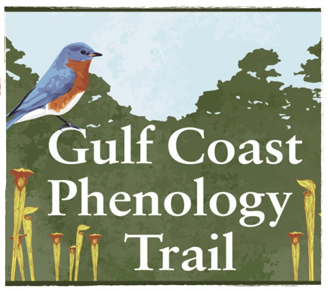 Logo for the Gulf Coast Phenology Trail