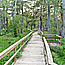 Barataria Trails and Map