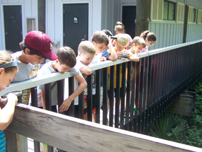A group of children look over a railing at the plants below