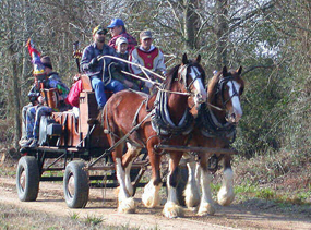 People dressed in Mardi Gras costumes ride on a wagon pulled by two big horses