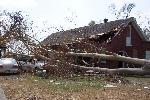 Downed Tree on Vehicle and Building
