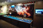 Barataria Exhibit