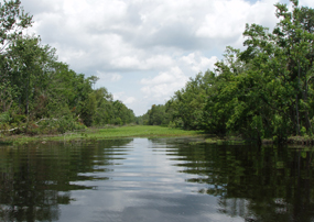 A canal's rippling water reflects trees as it reaches towards the horizon