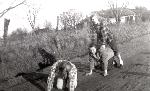 Leapfrog