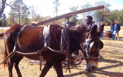 Francis providing power for the Cane Press