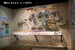O. Horse Tree Exhibit.