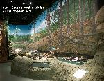 I. Turtle Cove Formation exhibit