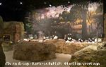 F. Clarno Nutbeds exhibit