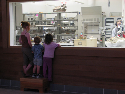 Image of young visitors watching a paleontologist work in the lab.