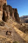 Image of the Clarno arch trail from near the top.