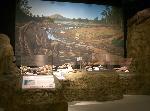 Image of the Clarno mammal quarry exhibit.