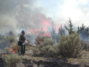 Image of a fire fighter working on a prescribed fire.