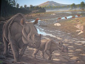 Image of a mural from the Hancock Mammal Quarry.