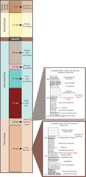 Image of the Clarno strata.