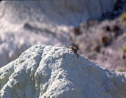 Nature and Science