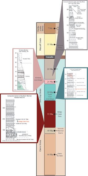 Image of the stratigraphic column for the John Day Formations.