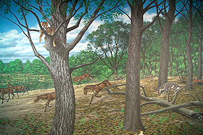 Image of a mural of the Turtle Cove.