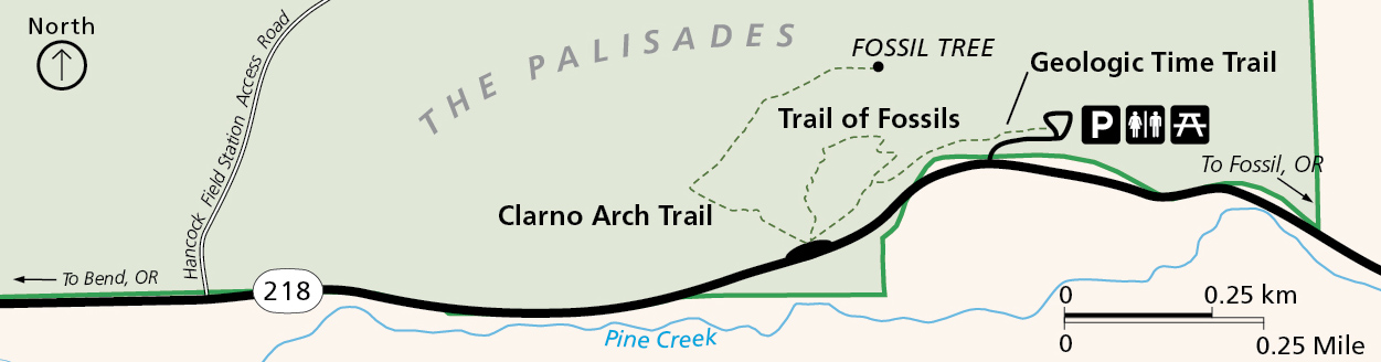 Clarno Trails showing trail detail at the Palisades