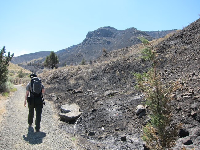 A ranger walks on a trail through the aftermath of a fire. Blackened earth dominates the right side of the photo.