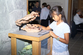 Image of a visitor giving a donation.