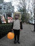 Halloween 2012 Tiger