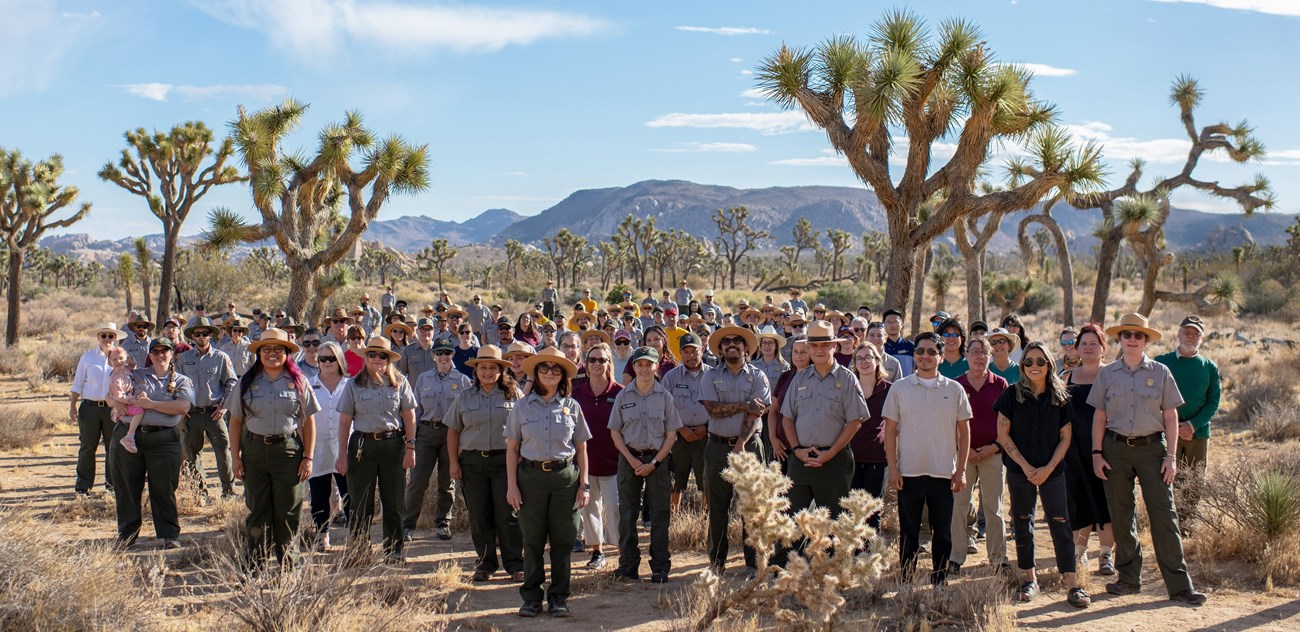 a group of people in a field of Joshua tree.