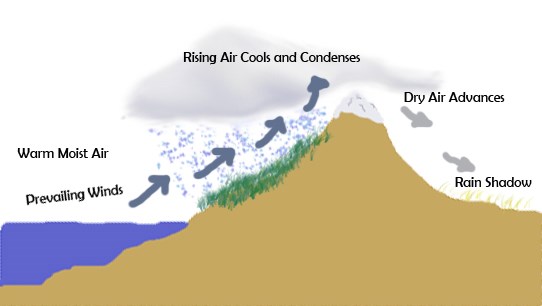 Illustration: warm moist air coming off the ocean, pushed by winds, up a mountain slope. Rising air cools and condenses and rain falls, making the oceanside of the mountain green and lush. Air advancing is now dry on the shadow side. Public domain