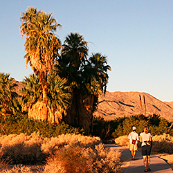 Oasis of Mara