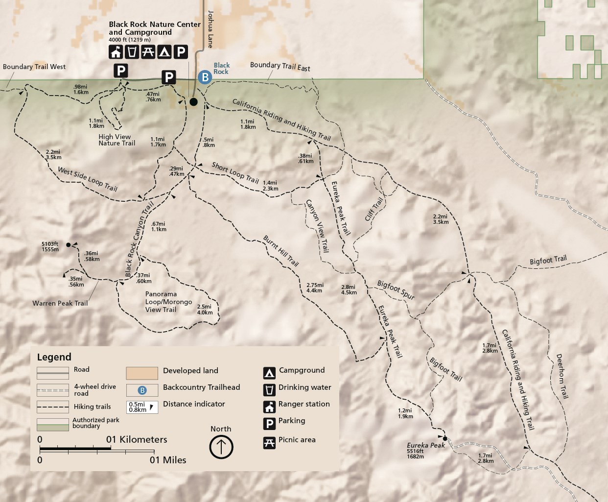 A map of the hiking trails in the Black Rock area of Joshua Tree National Park. West Side Loop, High View, Waren Peak, Burnt Hill, Short Loop, and Panorama Loop/Morongo View trails are recommended.
