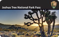 Joshua Tree 2013 Annual Pass