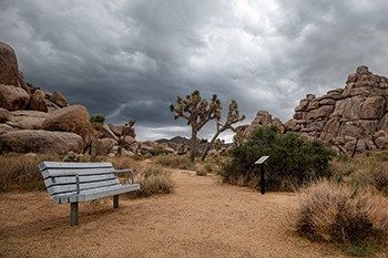 Storm clouds over a flat trail with a bench to the left