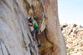 A rock climber on a rock face