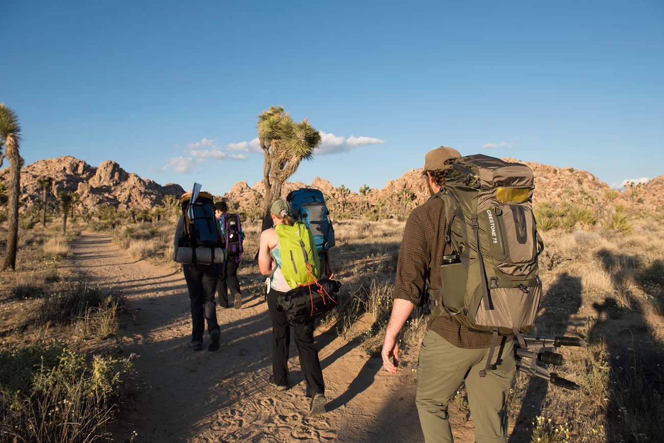 Backpacking Group Color photo of a group carrying overnight backpacking bags into the distance along a trail. NPS / Hannah Schwalbe