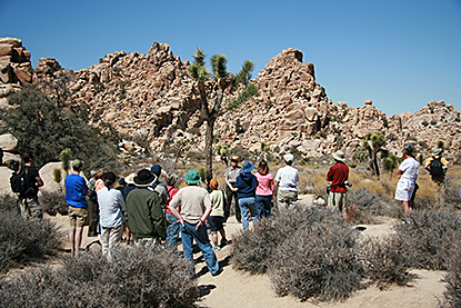Ranger Program: Hidden Valley Nature Trail