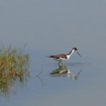 IMG_1181