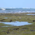 kaloko tidepools