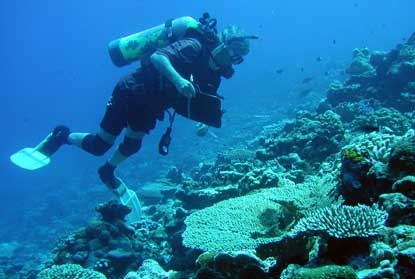 Diver monitoring park coral reef.