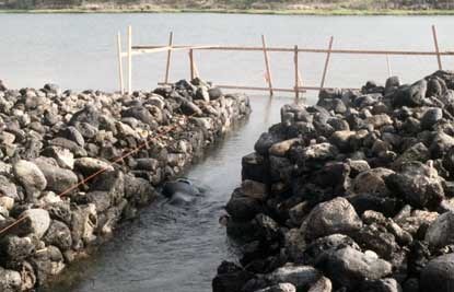 Kaloko Pond reconstruction.