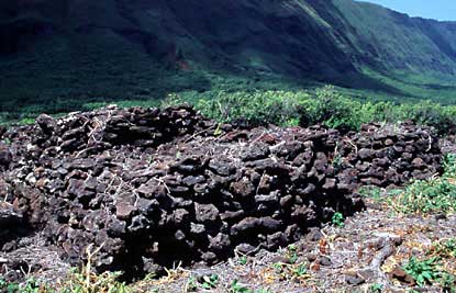 Archeological site at Kalaupapa.