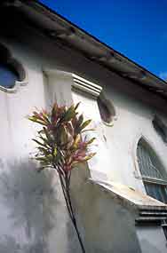 Detail of St. Francis Church.