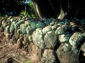A rock wall in Kalaupapa Settlement.