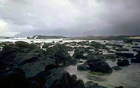 Tidepools along Kalaupapa coast.