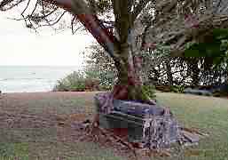 A cemetary at Kalaupapa Settlement.
