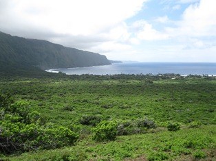 a view of vegetation stretching towards the ocean, cliffs rise out of the sea in the background.