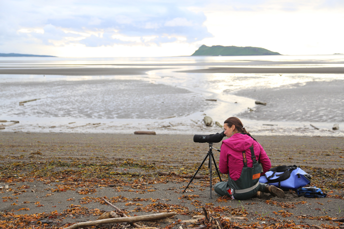 researcher looks through spotting scope